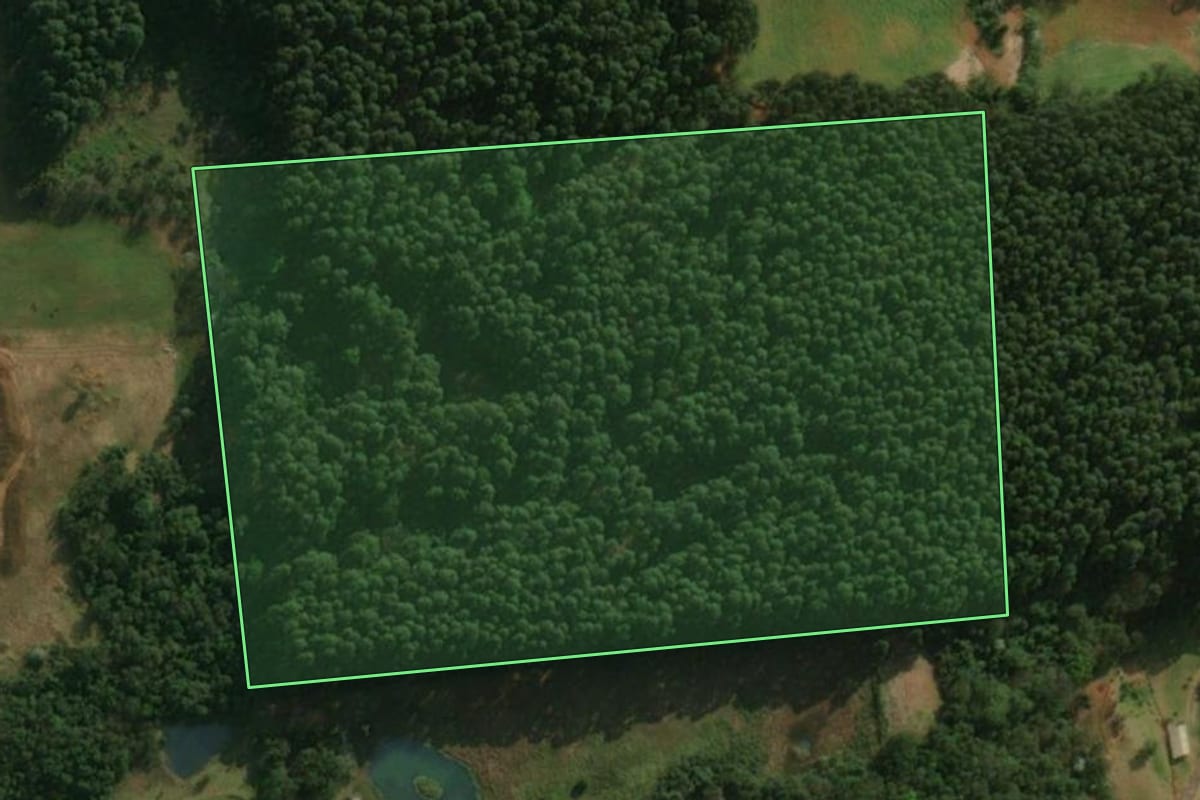 Imagem de satélite do imóvel rural em São José do Cedro (SC), com o contorno declarado no CAR desenhado por cima.