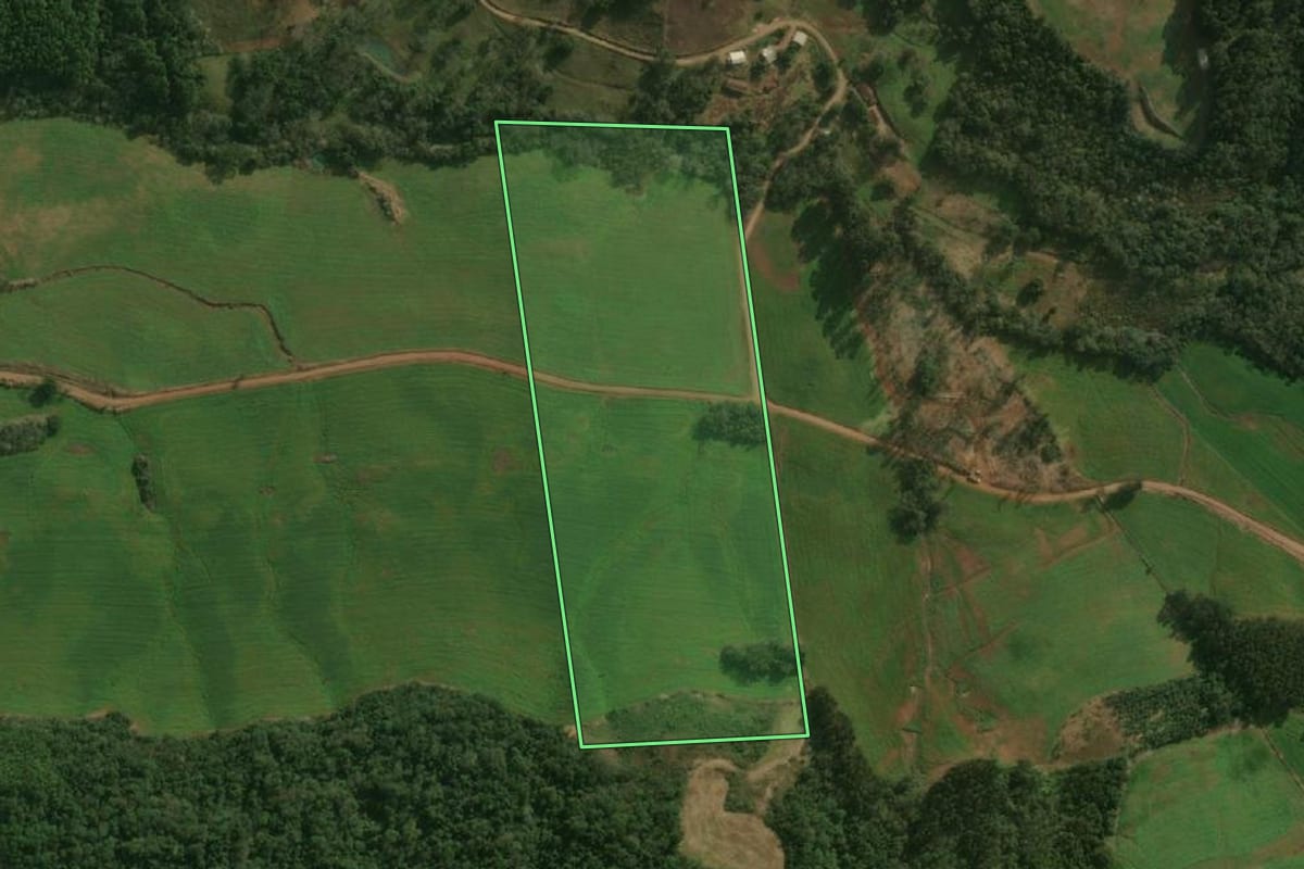 Imagem de satélite do imóvel rural em São José do Cedro (SC), com o contorno declarado no CAR desenhado por cima.