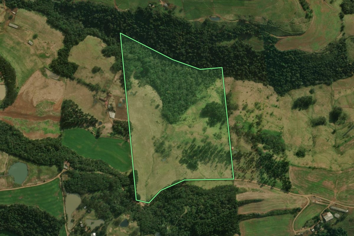 Imagem de satélite do imóvel rural em São José do Cedro (SC), com o contorno declarado no CAR desenhado por cima.