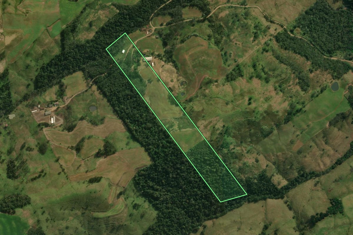 Imagem de satélite do imóvel rural em São José do Cedro (SC), com o contorno declarado no CAR desenhado por cima.
