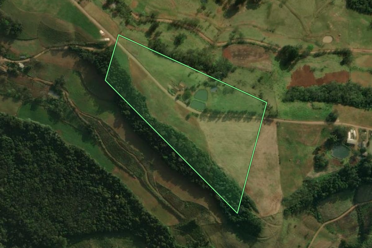 Imagem de satélite do imóvel rural em São José do Cedro (SC), com o contorno declarado no CAR desenhado por cima.