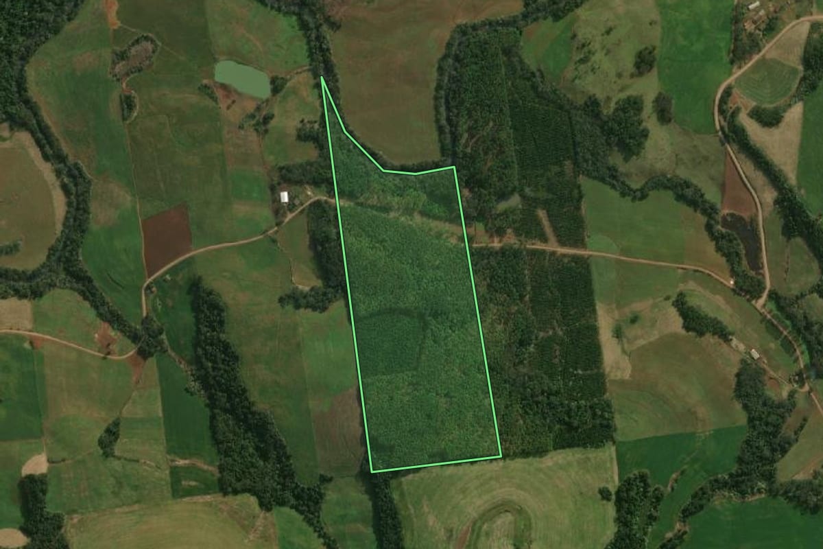 Imagem de satélite do imóvel rural em São José do Cedro (SC), com o contorno declarado no CAR desenhado por cima.