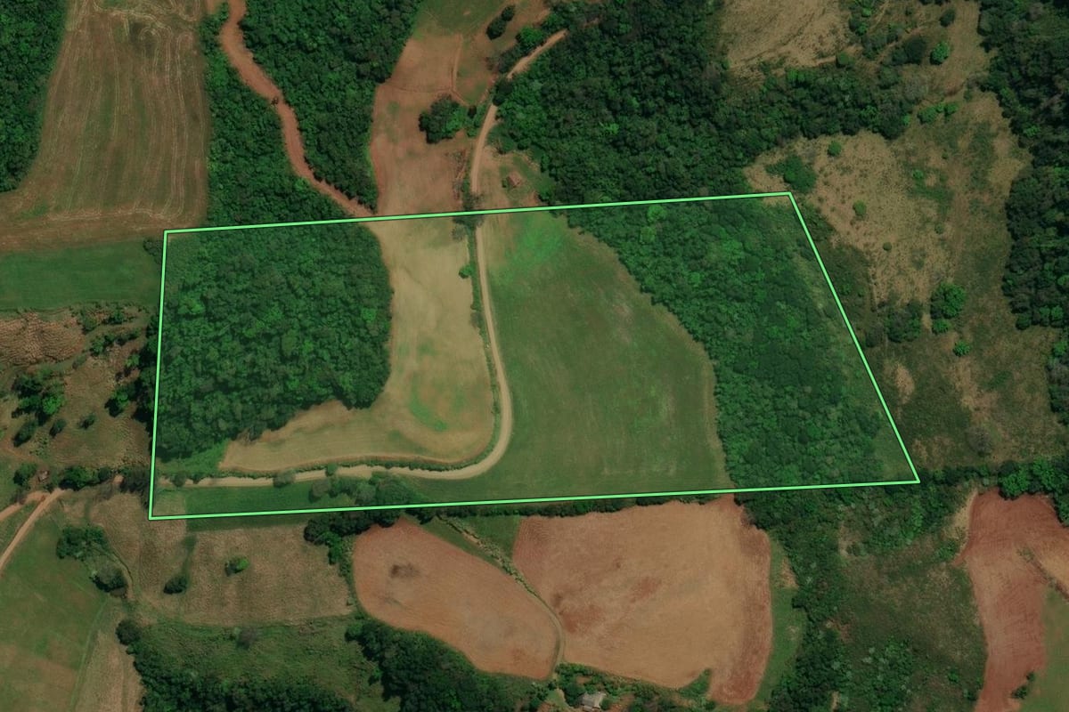 Imagem de satélite do imóvel rural em São José do Cedro (SC), com o contorno declarado no CAR desenhado por cima.