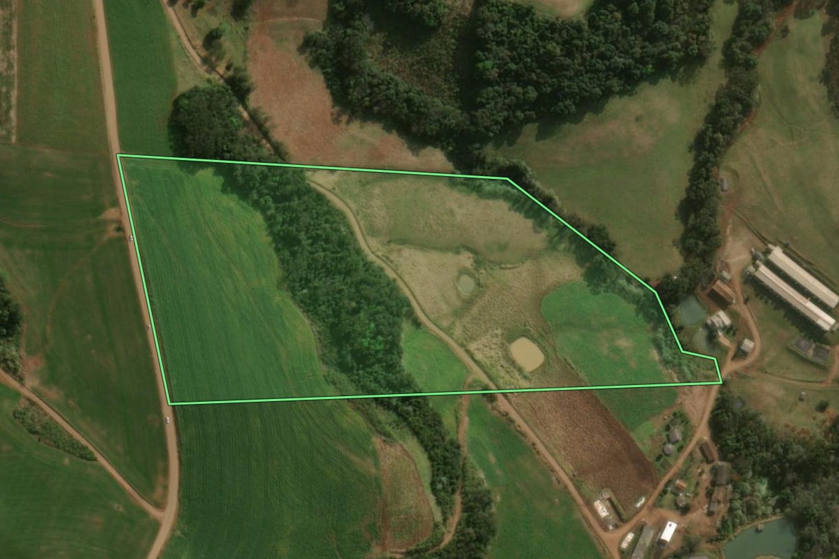 Imagem de satélite do imóvel rural em São José do Cedro (SC), com o contorno declarado no CAR desenhado por cima.