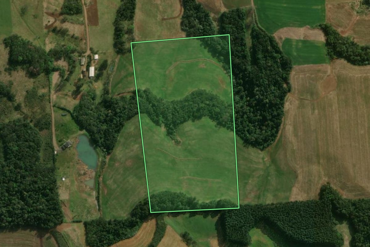 Imagem de satélite do imóvel rural em São José do Cedro (SC), com o contorno declarado no CAR desenhado por cima.