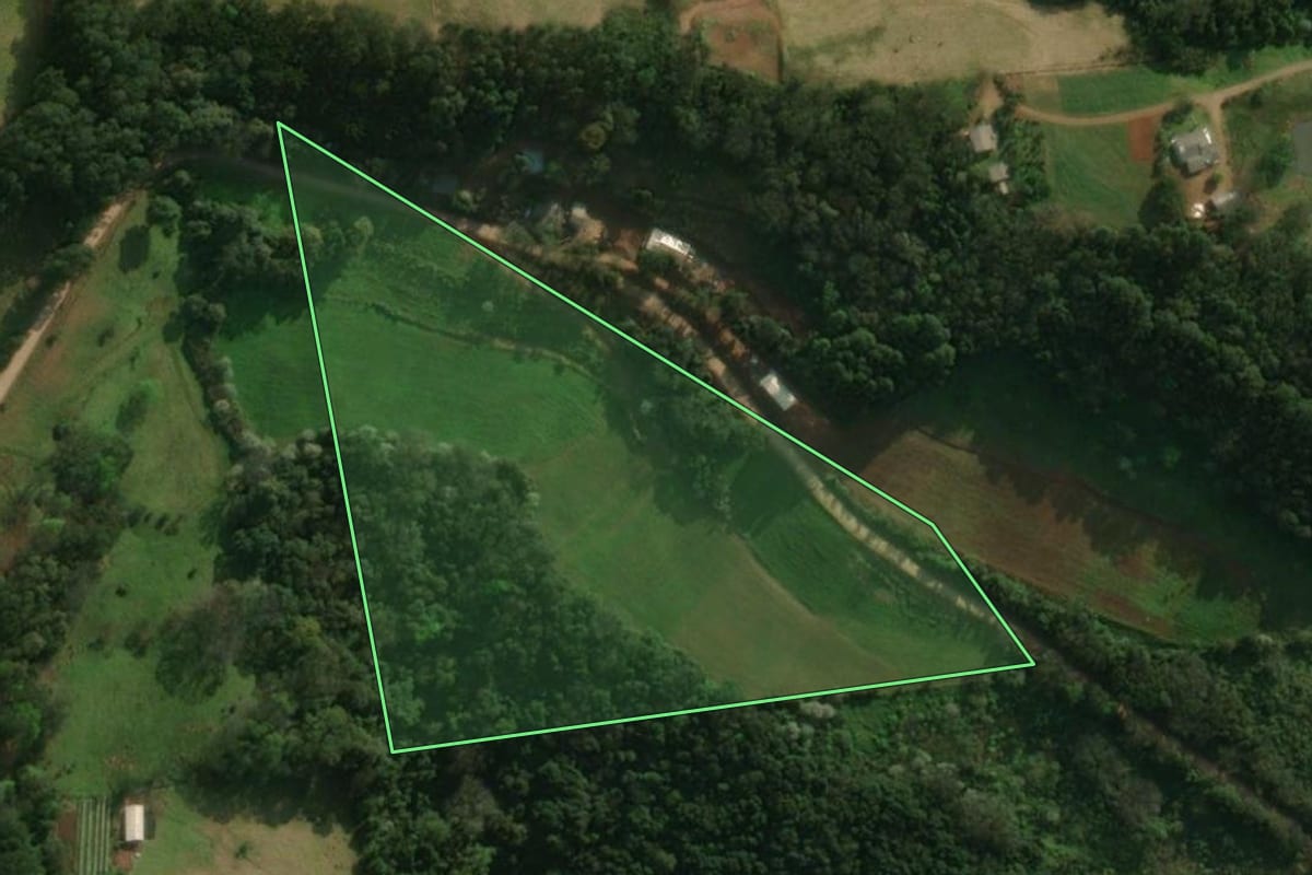 Imagem de satélite do imóvel rural em São José do Cedro (SC), com o contorno declarado no CAR desenhado por cima.
