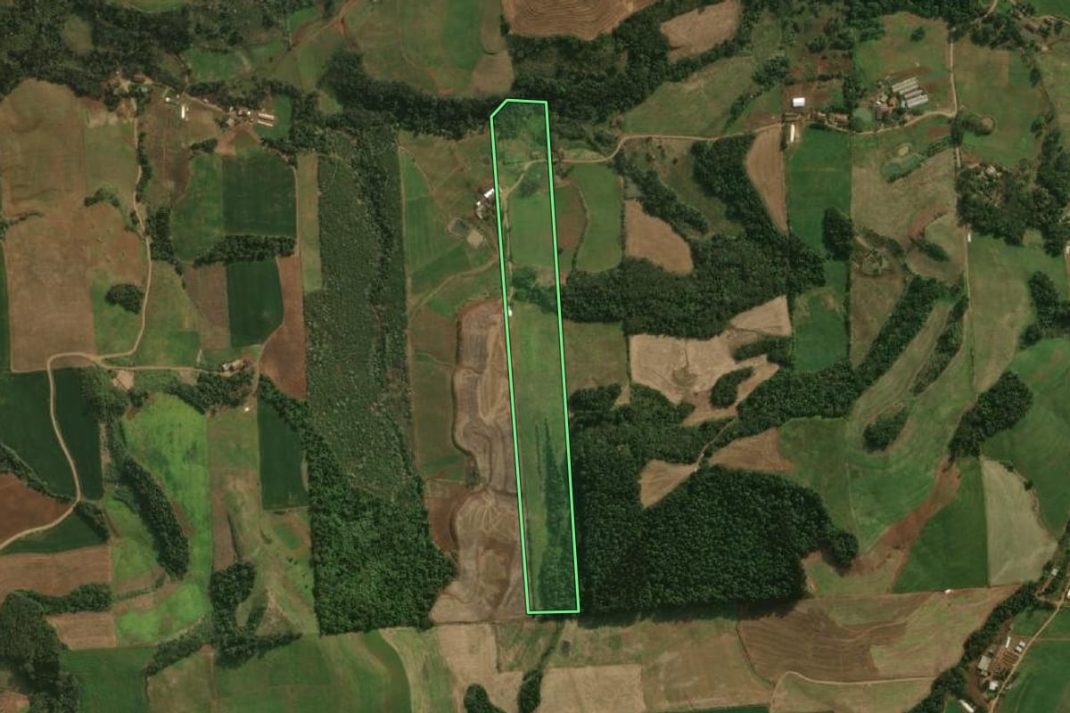 Imagem de satélite do imóvel rural em São José do Cedro (SC), com o contorno declarado no CAR desenhado por cima.