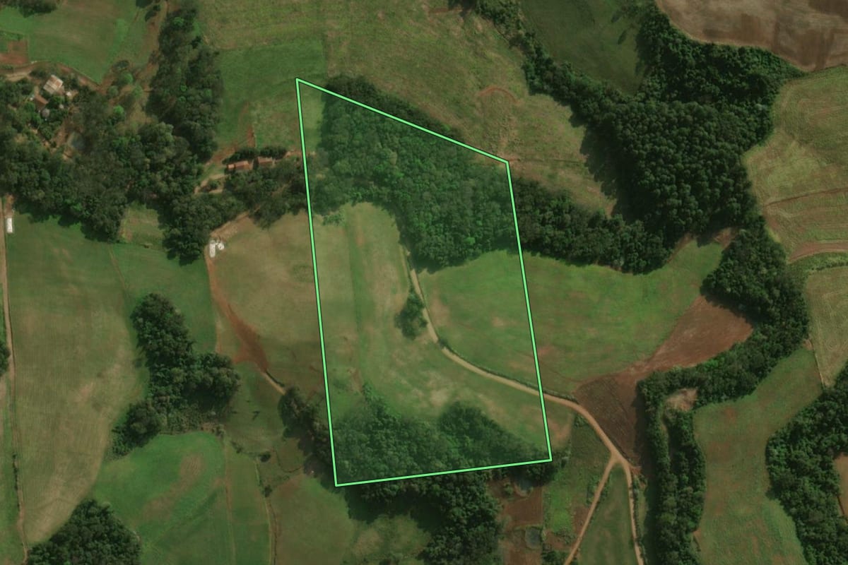 Imagem de satélite do imóvel rural em São José do Cedro (SC), com o contorno declarado no CAR desenhado por cima.