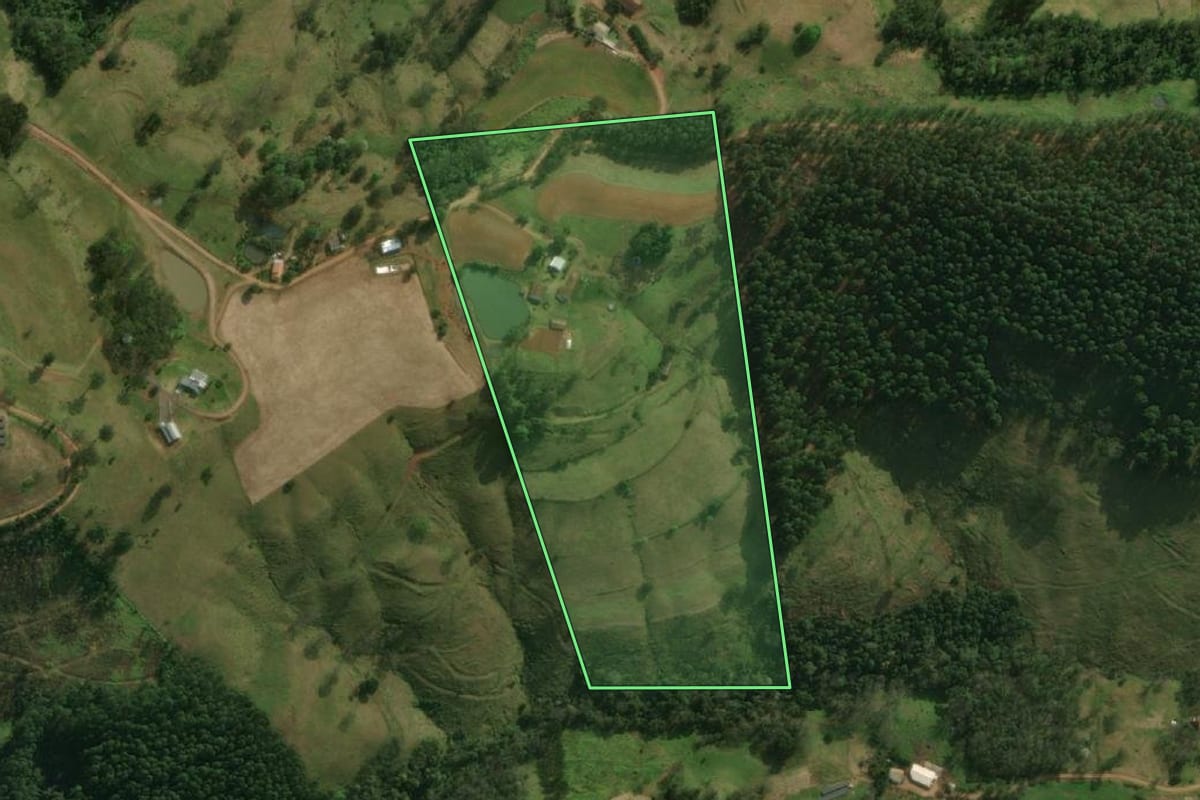 Imagem de satélite do imóvel rural em São José do Cedro (SC), com o contorno declarado no CAR desenhado por cima.
