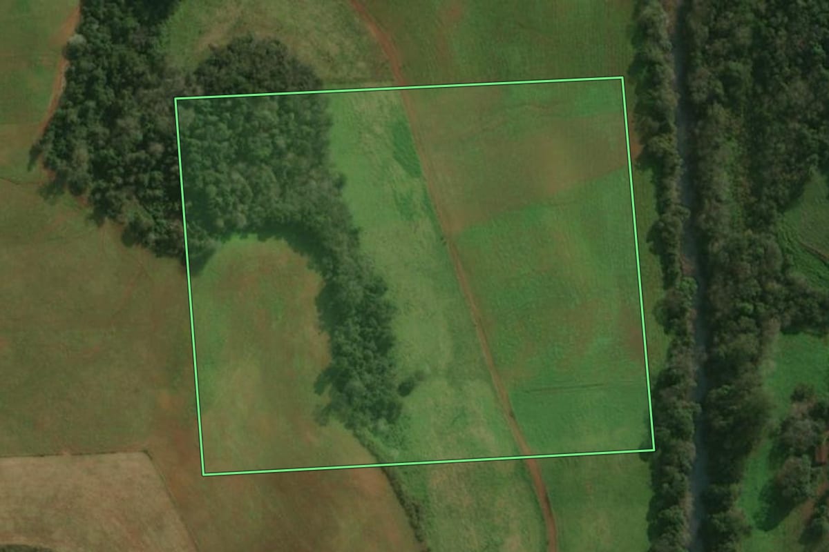 Imagem de satélite do imóvel rural em São José do Cedro (SC), com o contorno declarado no CAR desenhado por cima.