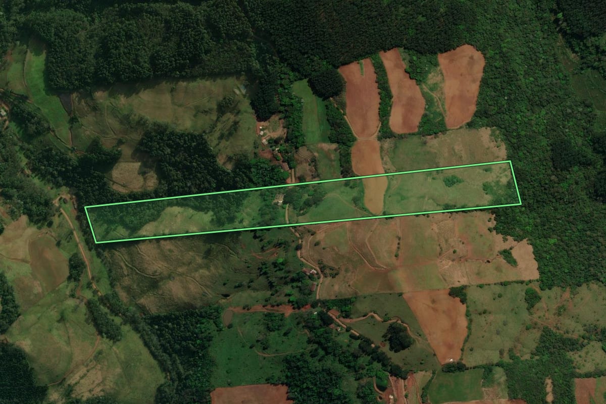 Imagem de satélite do imóvel rural em São José do Cedro (SC), com o contorno declarado no CAR desenhado por cima.