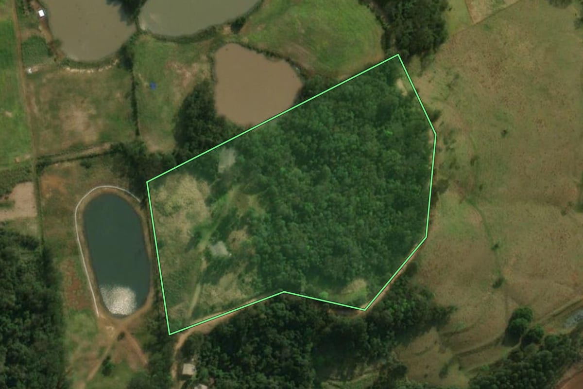 Imagem de satélite do imóvel rural em São José do Cedro (SC), com o contorno declarado no CAR desenhado por cima.