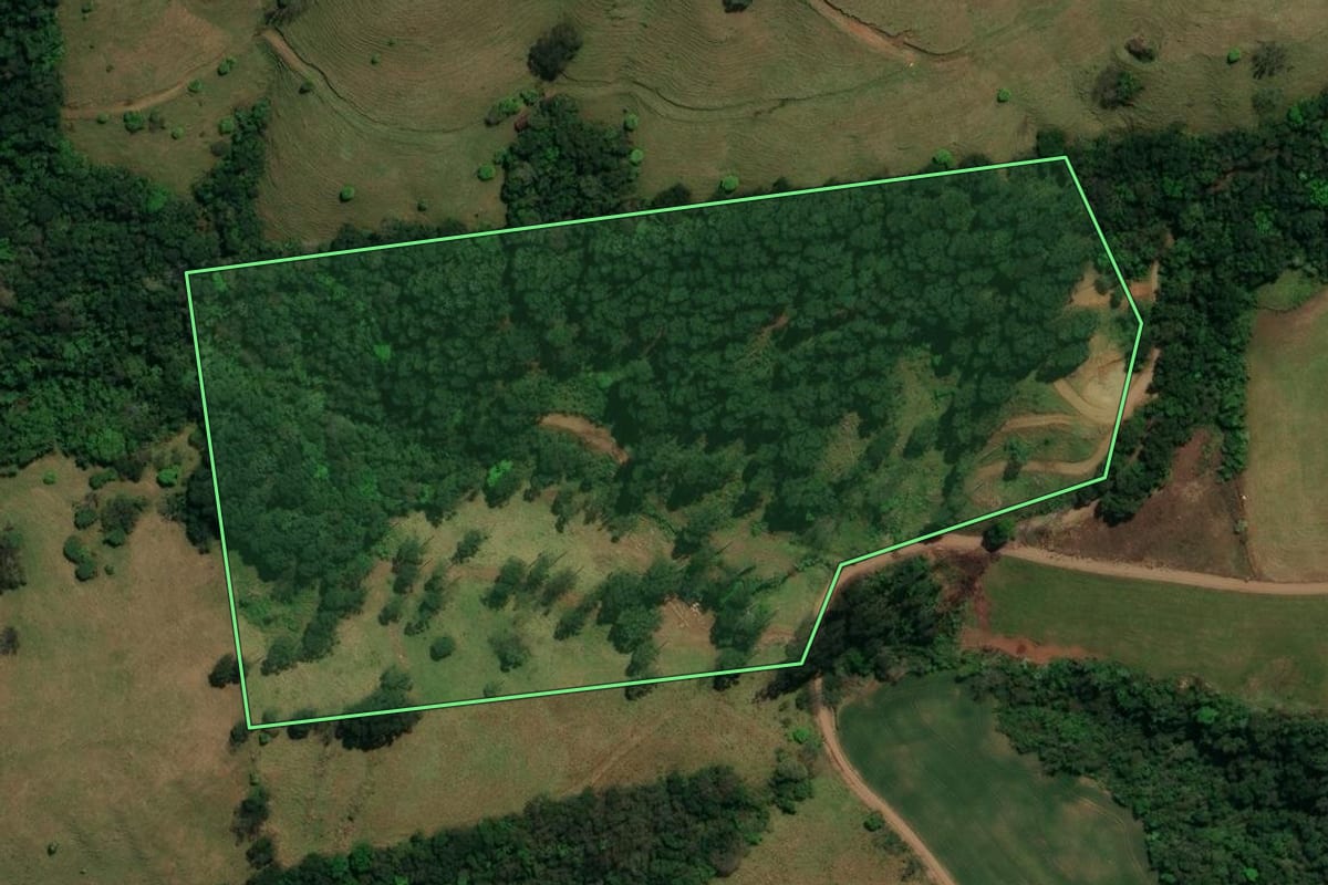 Imagem de satélite do imóvel rural em São José do Cedro (SC), com o contorno declarado no CAR desenhado por cima.
