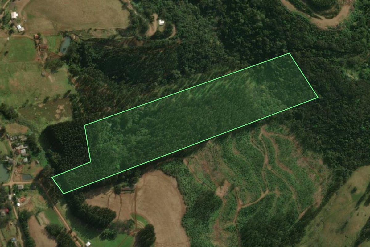 Imagem de satélite do imóvel rural em São José do Cedro (SC), com o contorno declarado no CAR desenhado por cima.