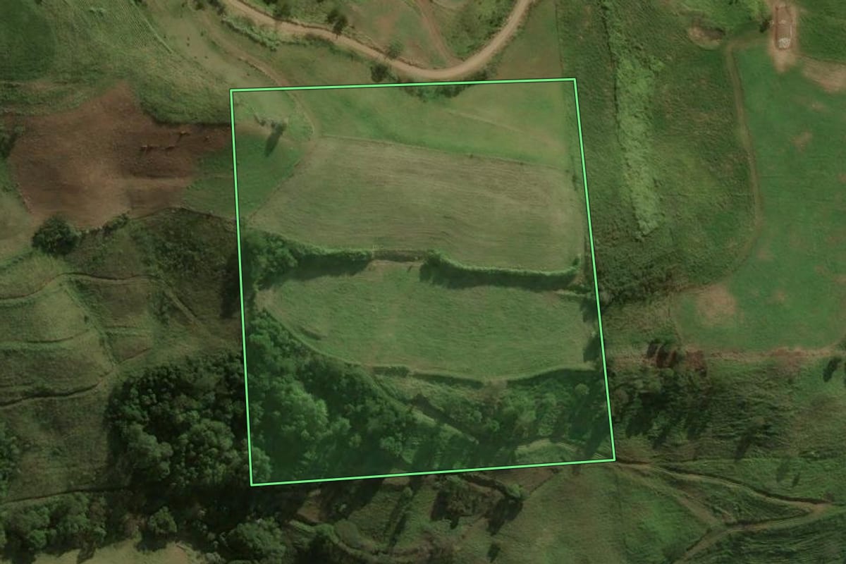 Imagem de satélite do imóvel rural em São José do Cedro (SC), com o contorno declarado no CAR desenhado por cima.