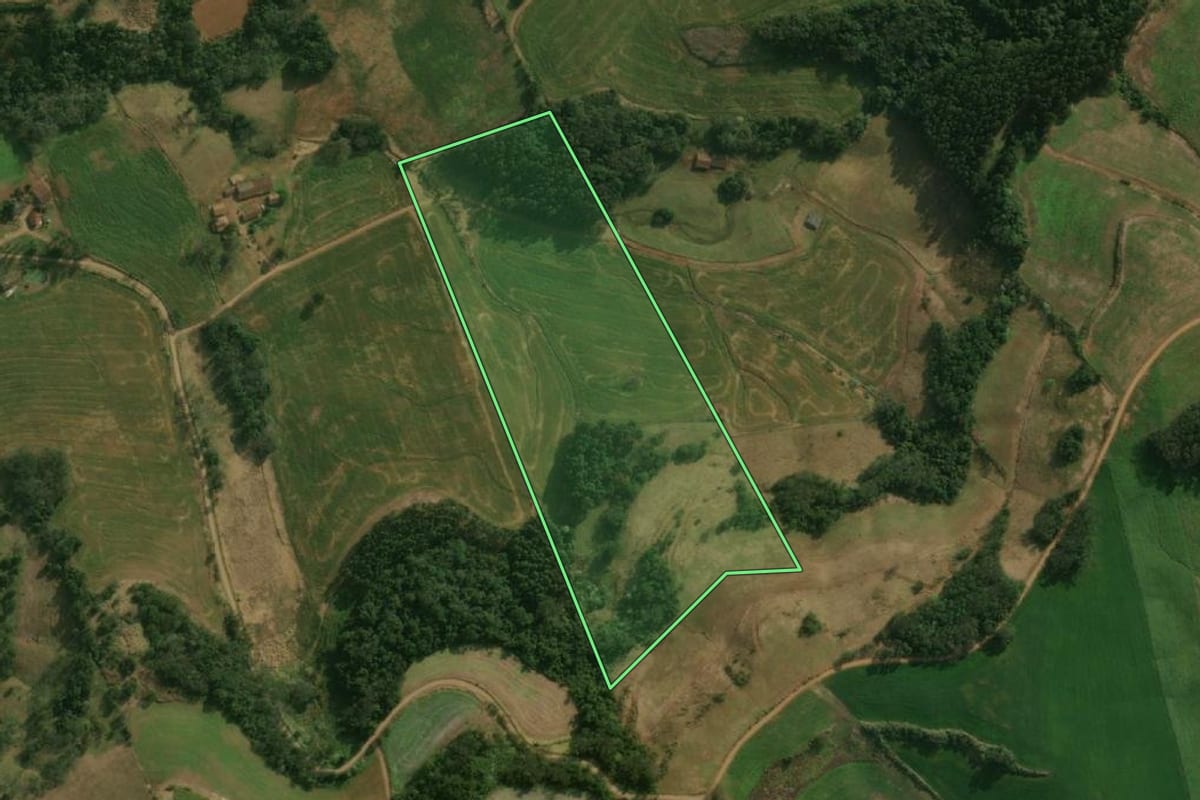Imagem de satélite do imóvel rural em São José do Cedro (SC), com o contorno declarado no CAR desenhado por cima.