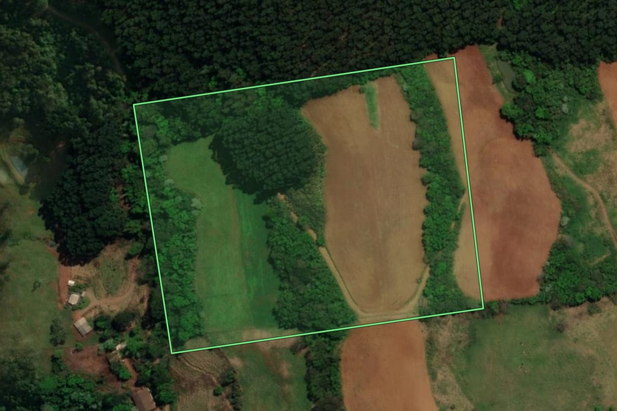 Imagem de satélite do imóvel rural em São José do Cedro (SC), com o contorno declarado no CAR desenhado por cima.