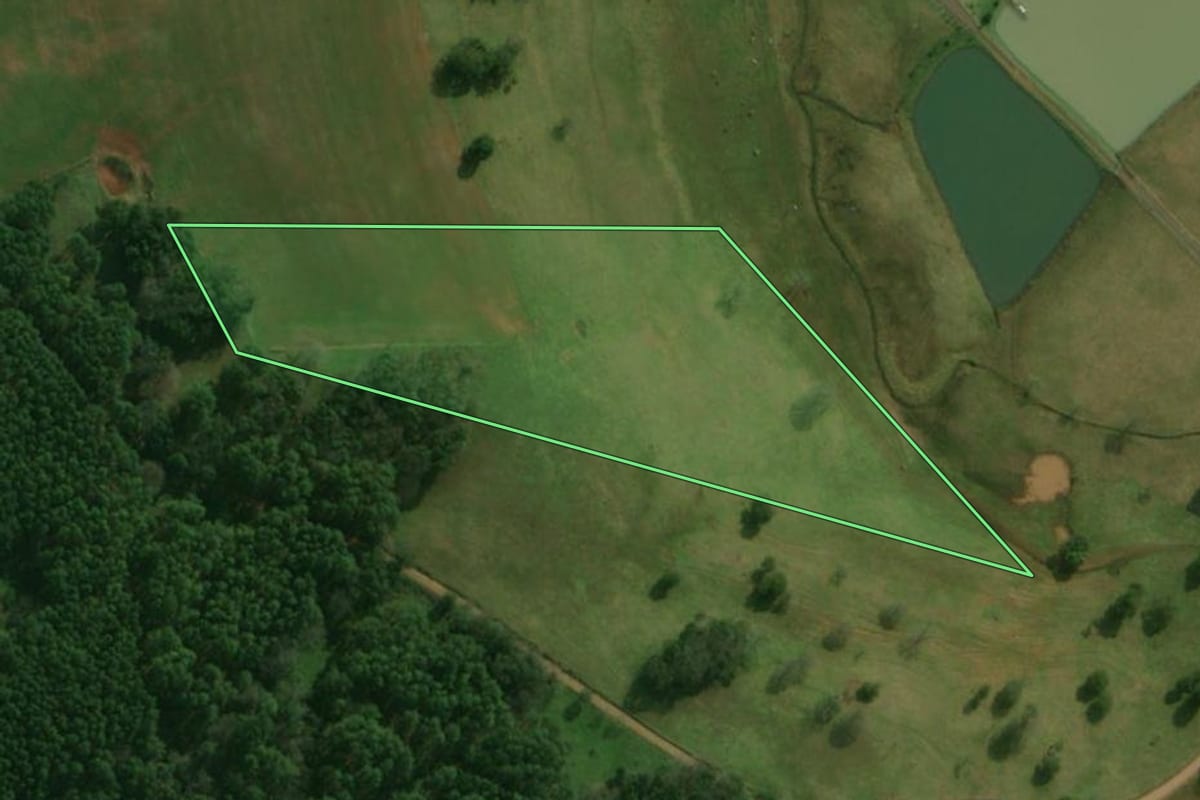 Imagem de satélite do imóvel rural em São José do Cedro (SC), com o contorno declarado no CAR desenhado por cima.