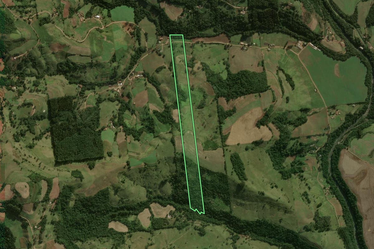 Imagem de satélite do imóvel rural em São José do Cedro (SC), com o contorno declarado no CAR desenhado por cima.
