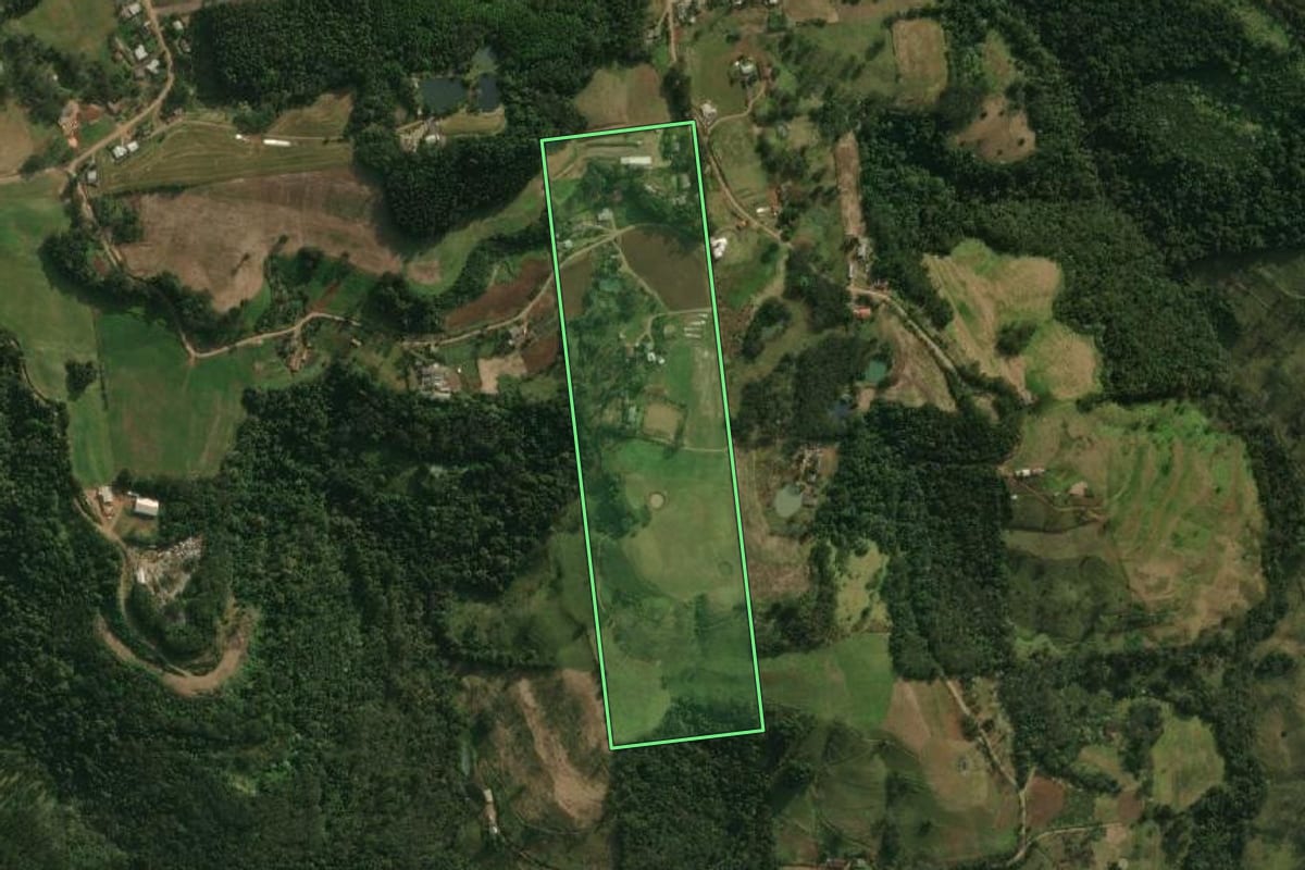 Imagem de satélite do imóvel rural em São José do Cedro (SC), com o contorno declarado no CAR desenhado por cima.