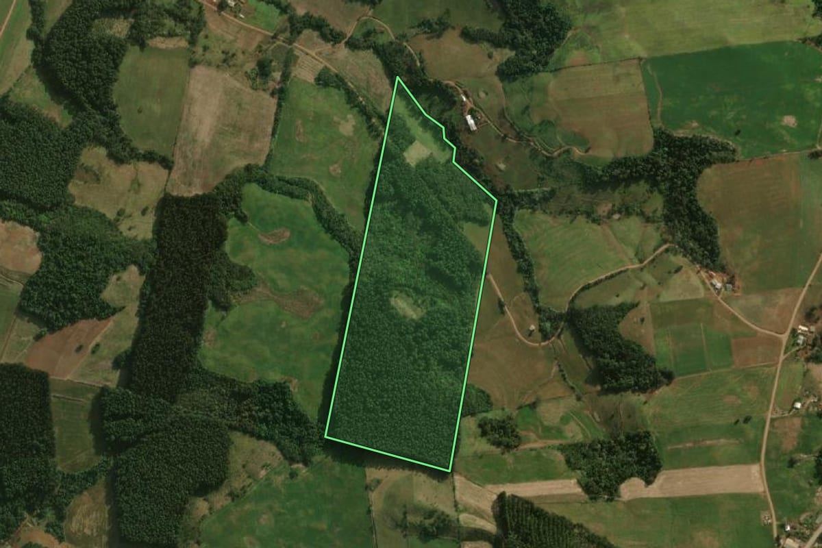 Imagem de satélite do imóvel rural em São José do Cedro (SC), com o contorno declarado no CAR desenhado por cima.
