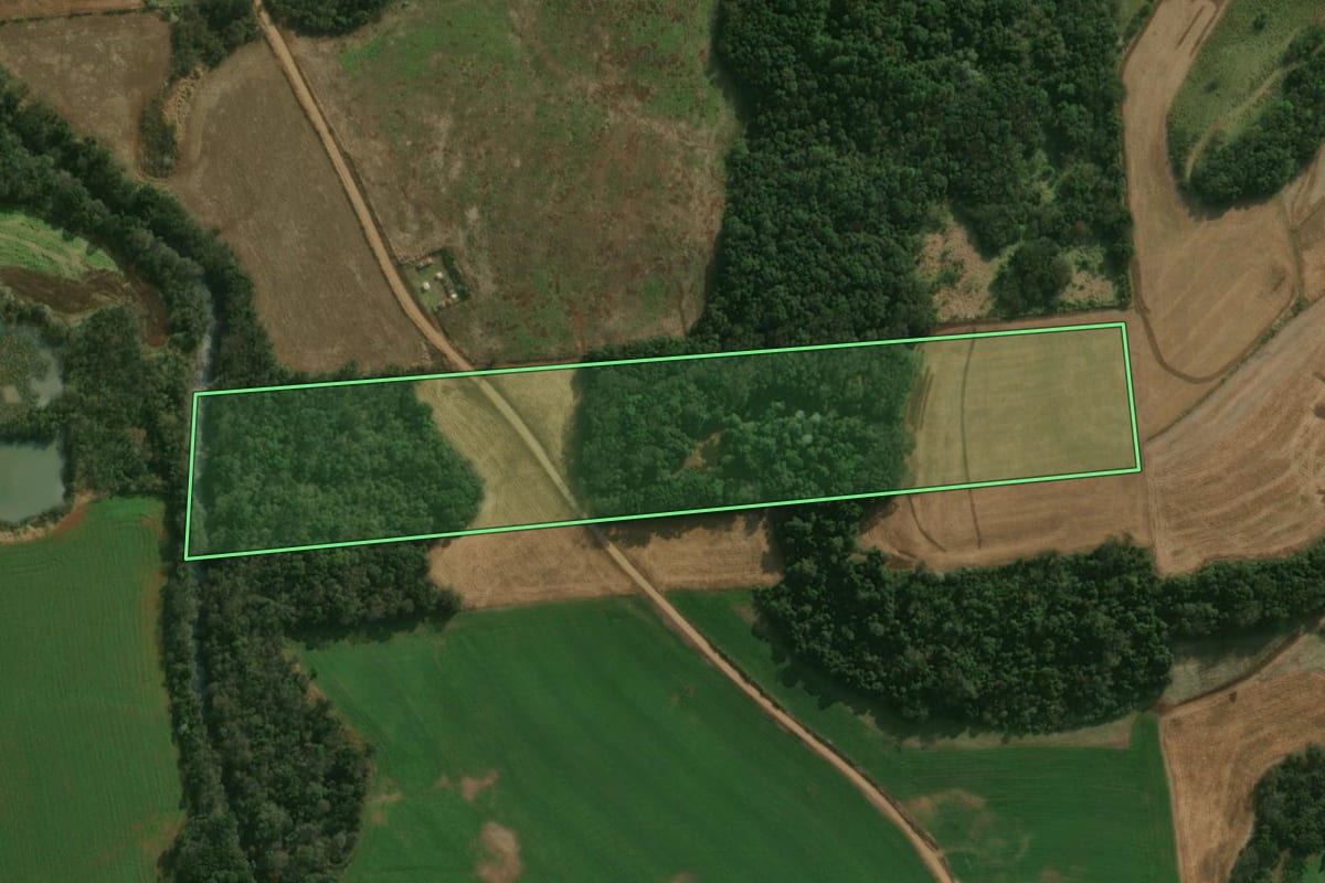 Imagem de satélite do imóvel rural em São José do Cedro (SC), com o contorno declarado no CAR desenhado por cima.