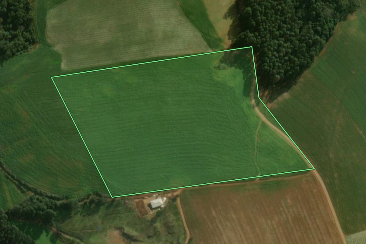 Imagem de satélite do imóvel rural em São José do Cedro (SC), com o contorno declarado no CAR desenhado por cima.