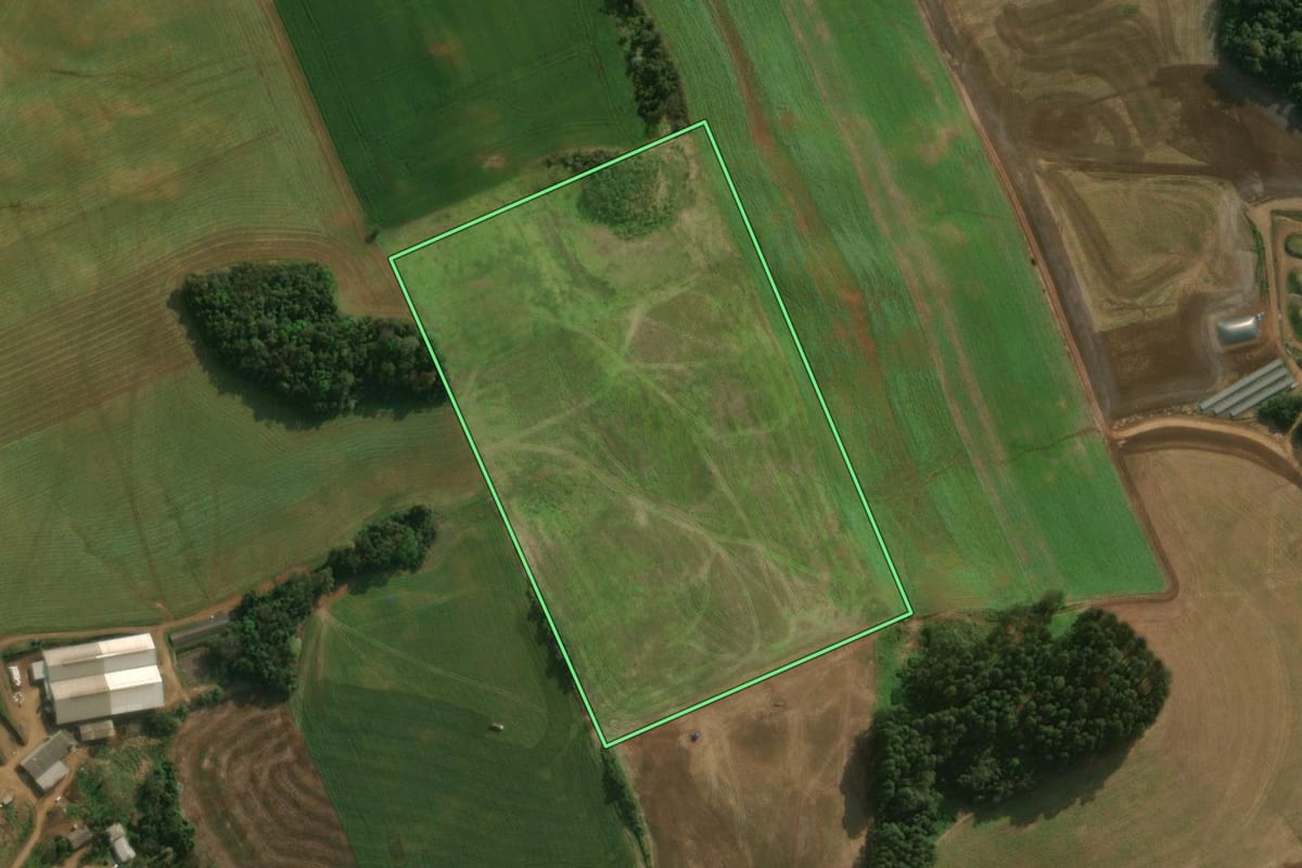 Imagem de satélite do imóvel rural em São José do Cedro (SC), com o contorno declarado no CAR desenhado por cima.