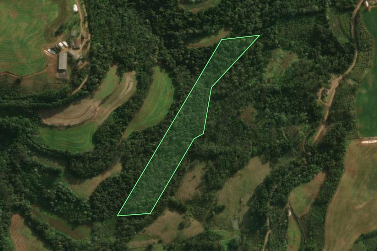 Imagem de satélite do imóvel rural em São José do Cedro (SC), com o contorno declarado no CAR desenhado por cima.