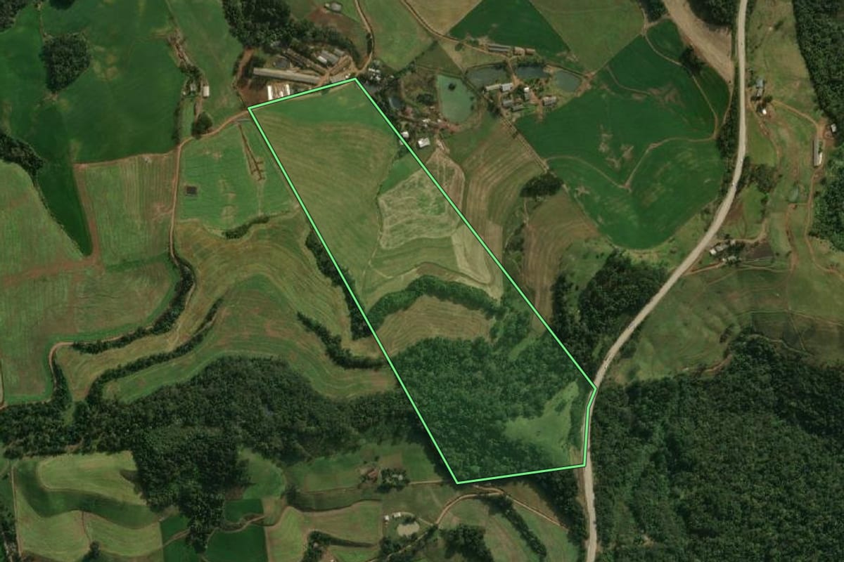 Imagem de satélite do imóvel rural em São José do Cedro (SC), com o contorno declarado no CAR desenhado por cima.