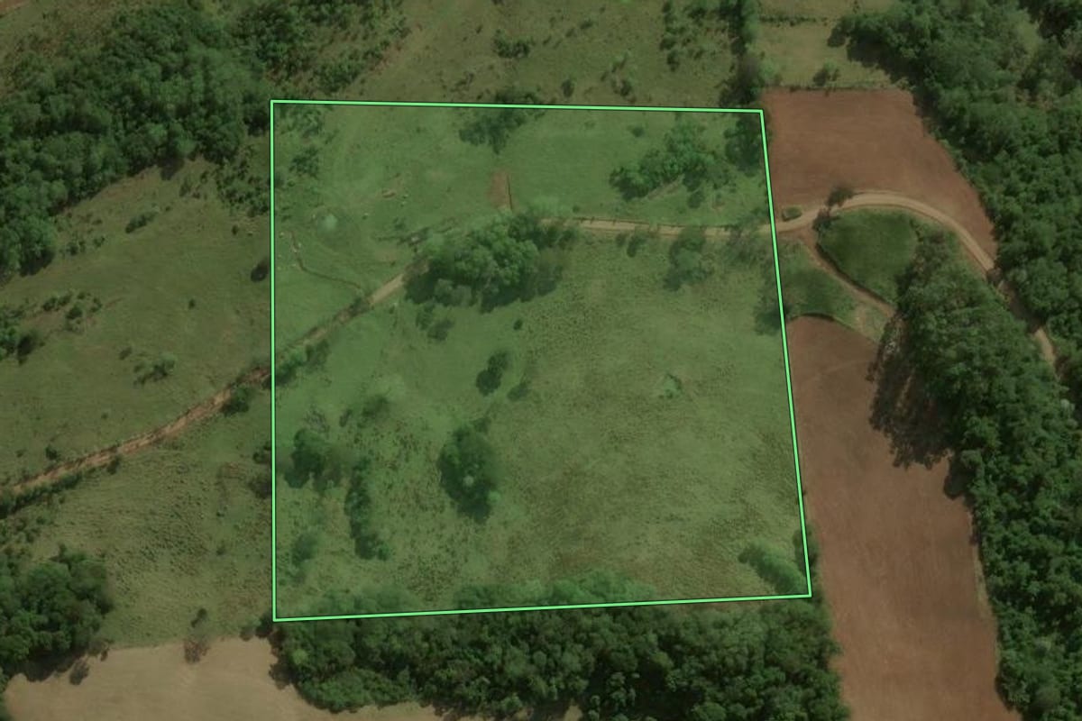 Imagem de satélite do imóvel rural em São José do Cedro (SC), com o contorno declarado no CAR desenhado por cima.