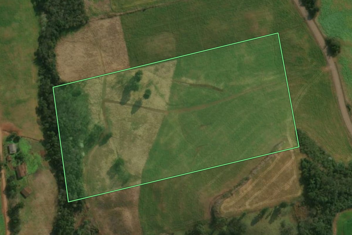 Imagem de satélite do imóvel rural em São José do Cedro (SC), com o contorno declarado no CAR desenhado por cima.