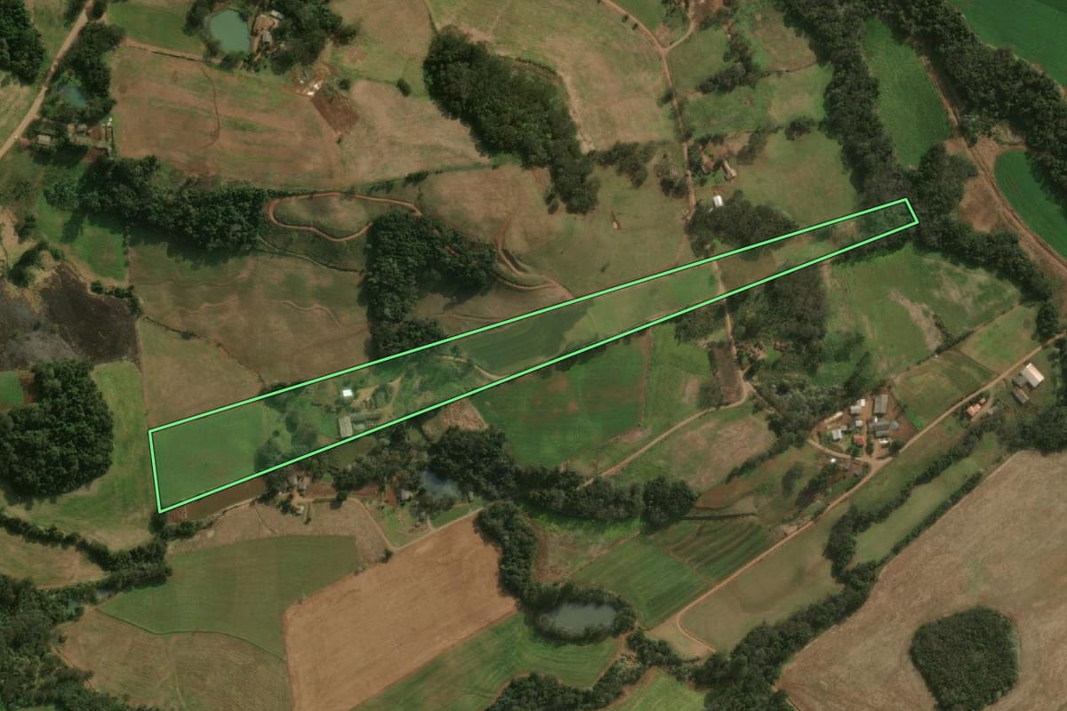 Imagem de satélite do imóvel rural em São José do Cedro (SC), com o contorno declarado no CAR desenhado por cima.