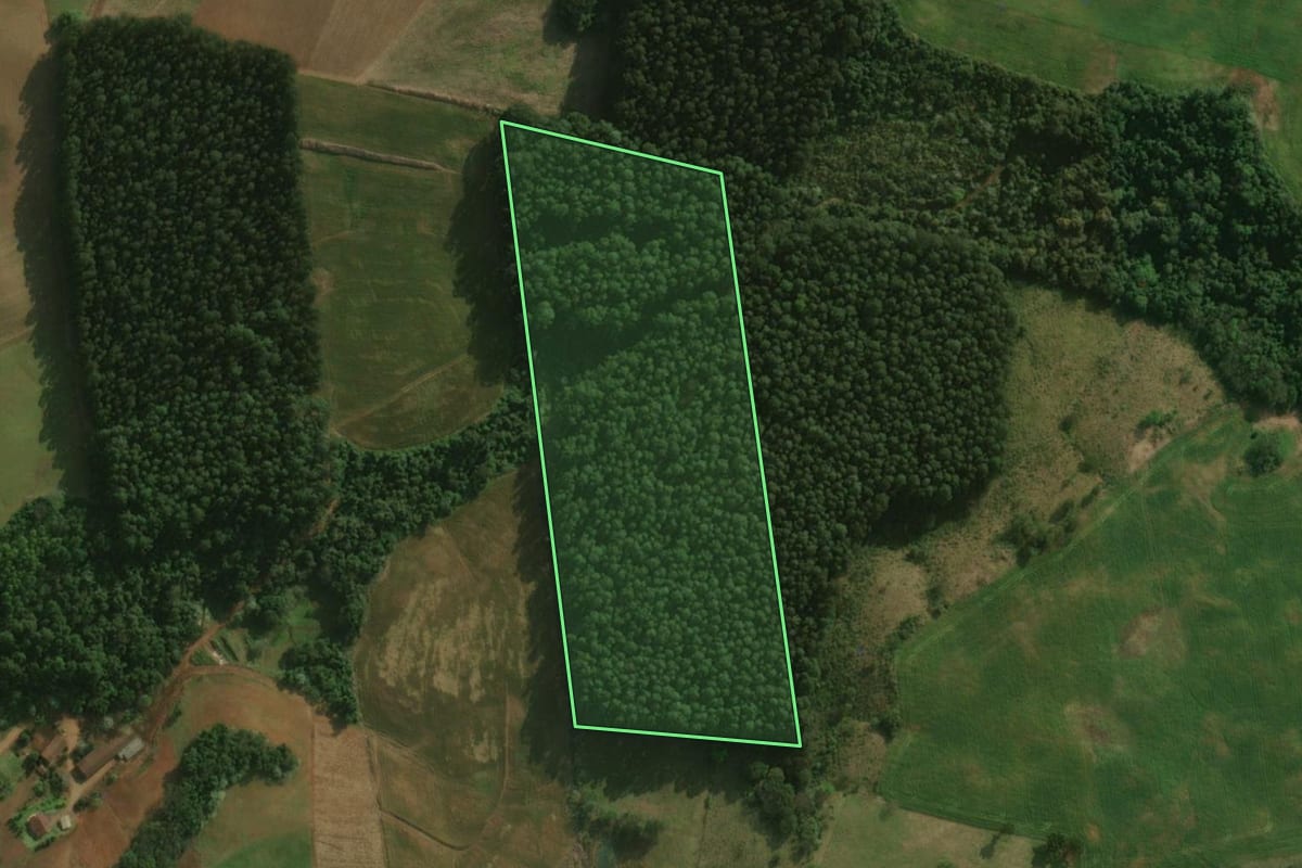 Imagem de satélite do imóvel rural em São José do Cedro (SC), com o contorno declarado no CAR desenhado por cima.