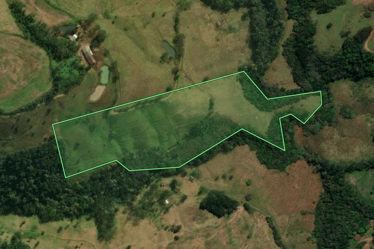 Imagem de satélite do imóvel rural em São José do Cedro (SC), com o contorno declarado no CAR desenhado por cima.