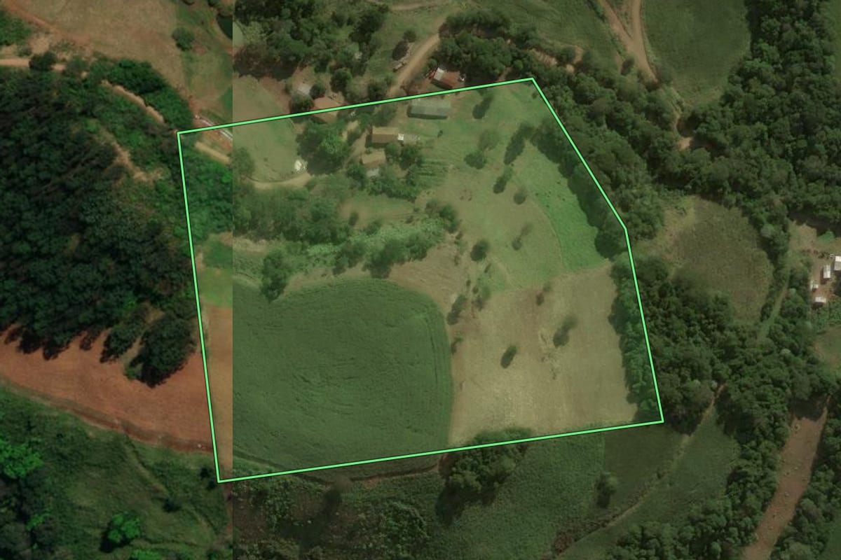 Imagem de satélite do imóvel rural em São José do Cedro (SC), com o contorno declarado no CAR desenhado por cima.