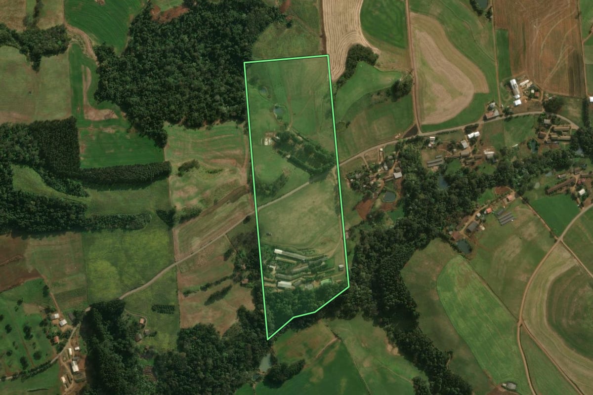 Imagem de satélite do imóvel rural em São José do Cedro (SC), com o contorno declarado no CAR desenhado por cima.