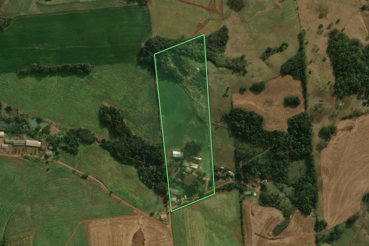 Imagem de satélite do imóvel rural em São José do Cedro (SC), com o contorno declarado no CAR desenhado por cima.