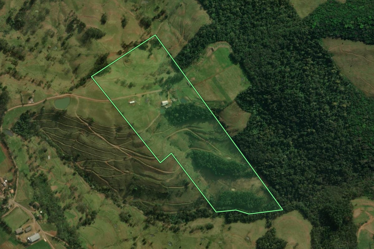 Imagem de satélite do imóvel rural em São José do Cedro (SC), com o contorno declarado no CAR desenhado por cima.