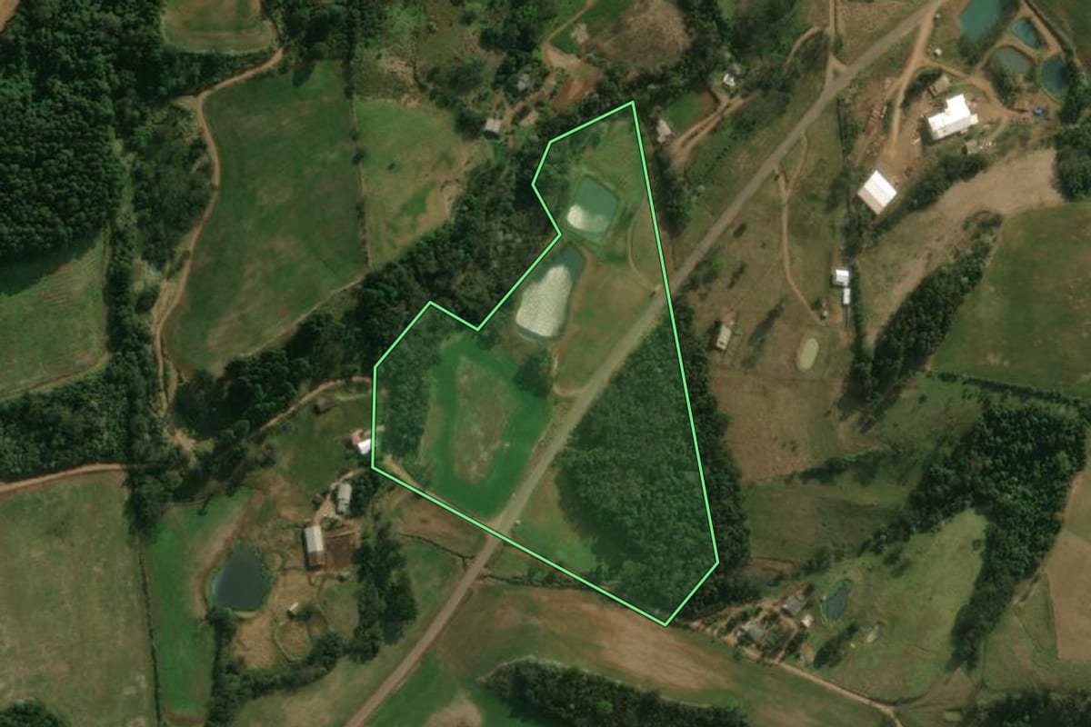 Imagem de satélite do imóvel rural em São José do Cedro (SC), com o contorno declarado no CAR desenhado por cima.