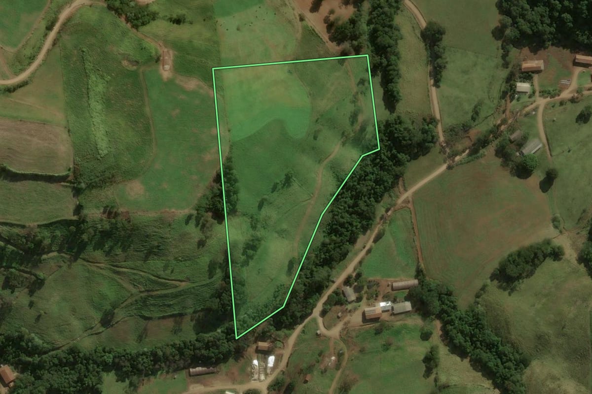 Imagem de satélite do imóvel rural em São José do Cedro (SC), com o contorno declarado no CAR desenhado por cima.
