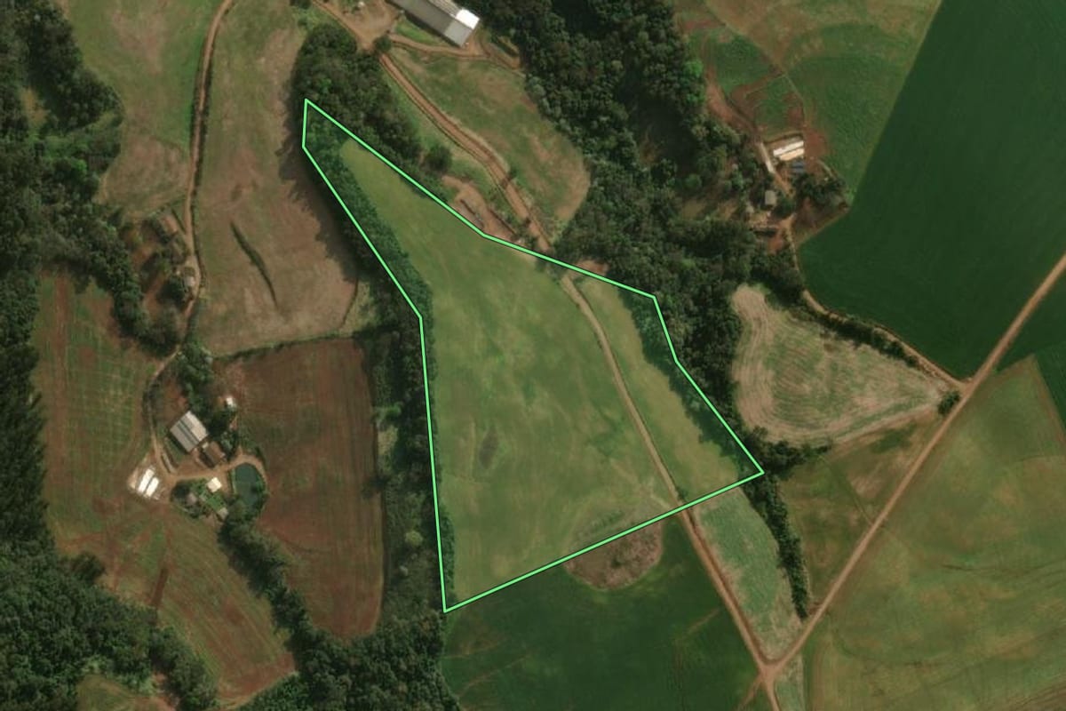 Imagem de satélite do imóvel rural em São José do Cedro (SC), com o contorno declarado no CAR desenhado por cima.