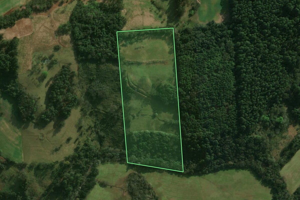 Imagem de satélite do imóvel rural em São José do Cedro (SC), com o contorno declarado no CAR desenhado por cima.