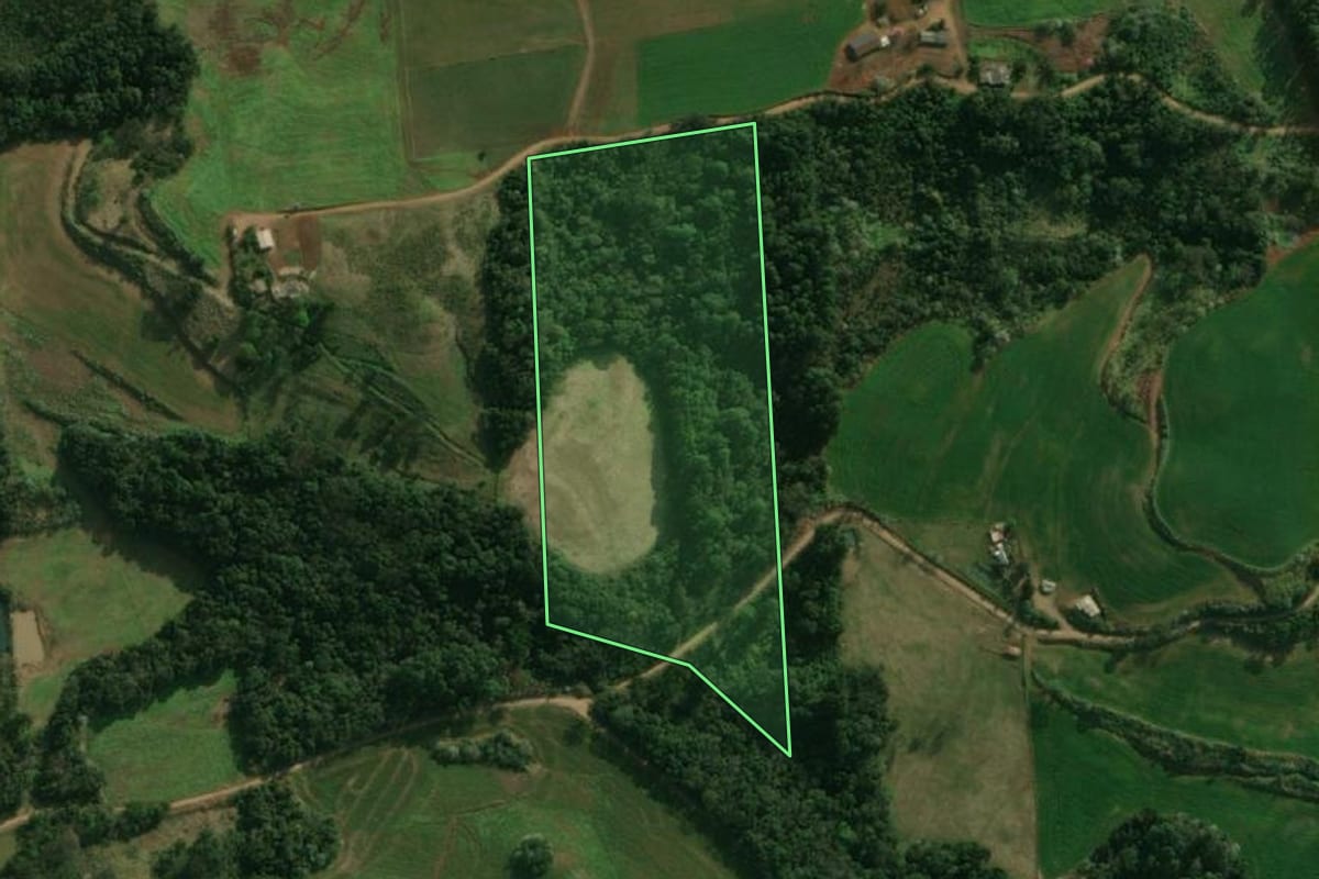 Imagem de satélite do imóvel rural em São José do Cedro (SC), com o contorno declarado no CAR desenhado por cima.