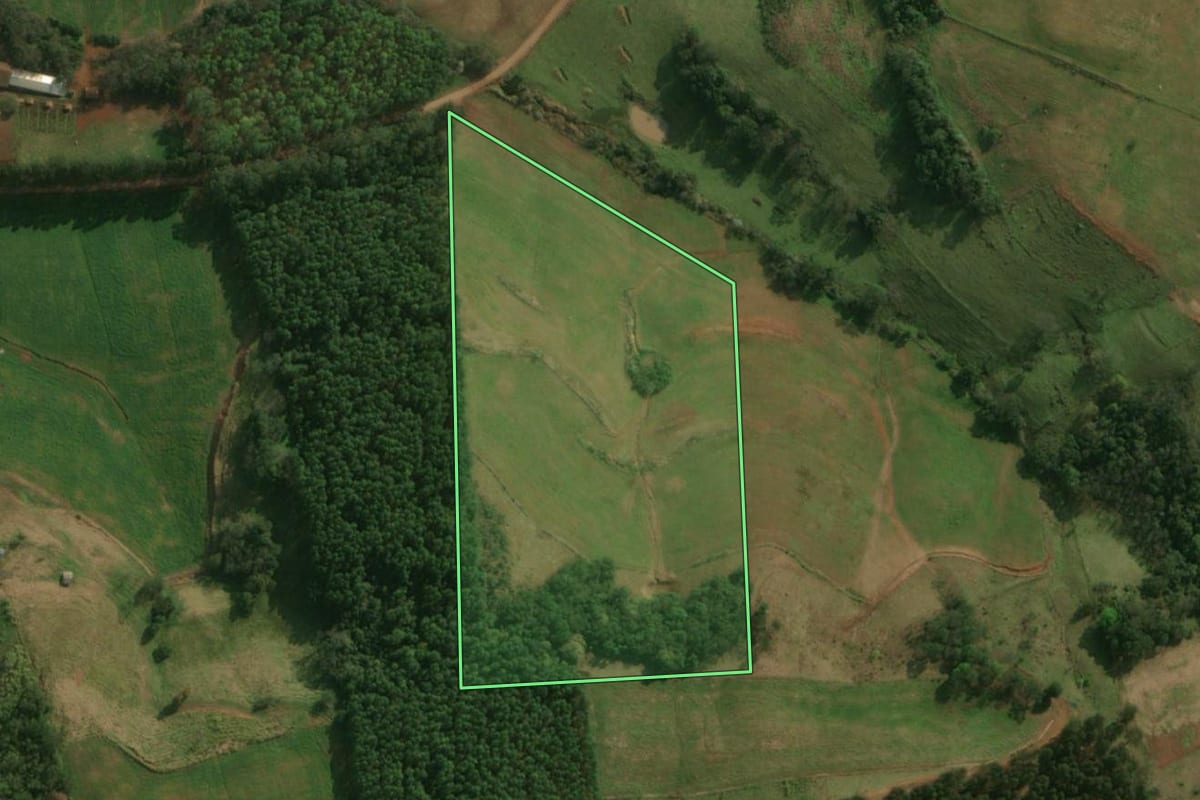 Imagem de satélite do imóvel rural em São José do Cedro (SC), com o contorno declarado no CAR desenhado por cima.