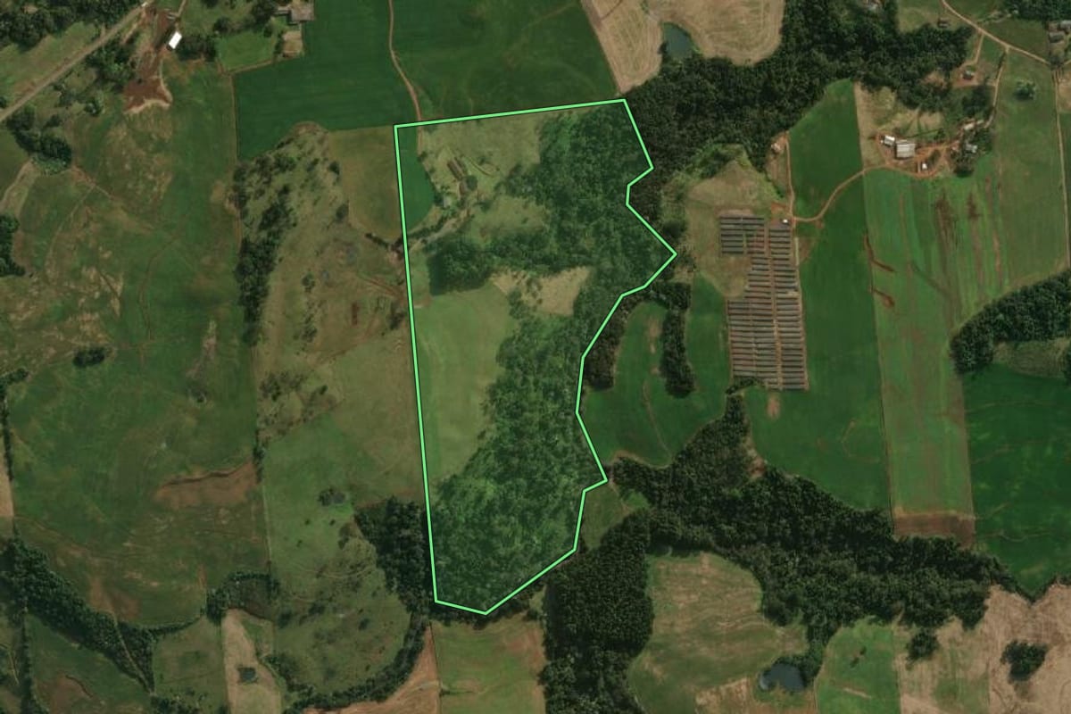 Imagem de satélite do imóvel rural em São José do Cedro (SC), com o contorno declarado no CAR desenhado por cima.