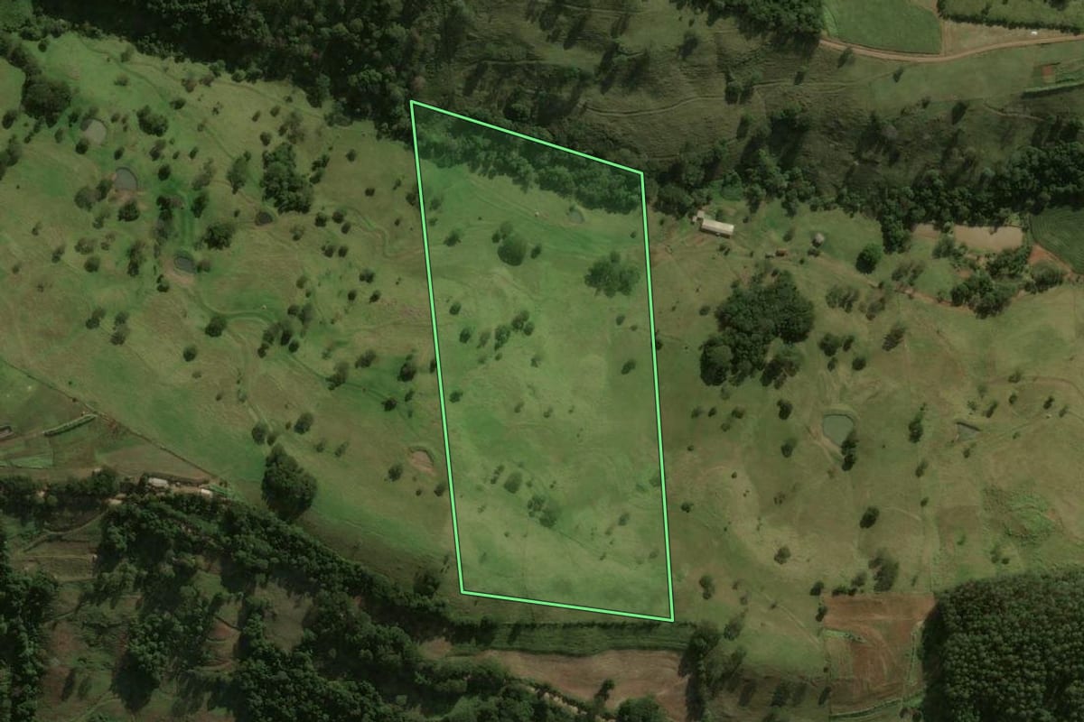 Imagem de satélite do imóvel rural em São José do Cedro (SC), com o contorno declarado no CAR desenhado por cima.