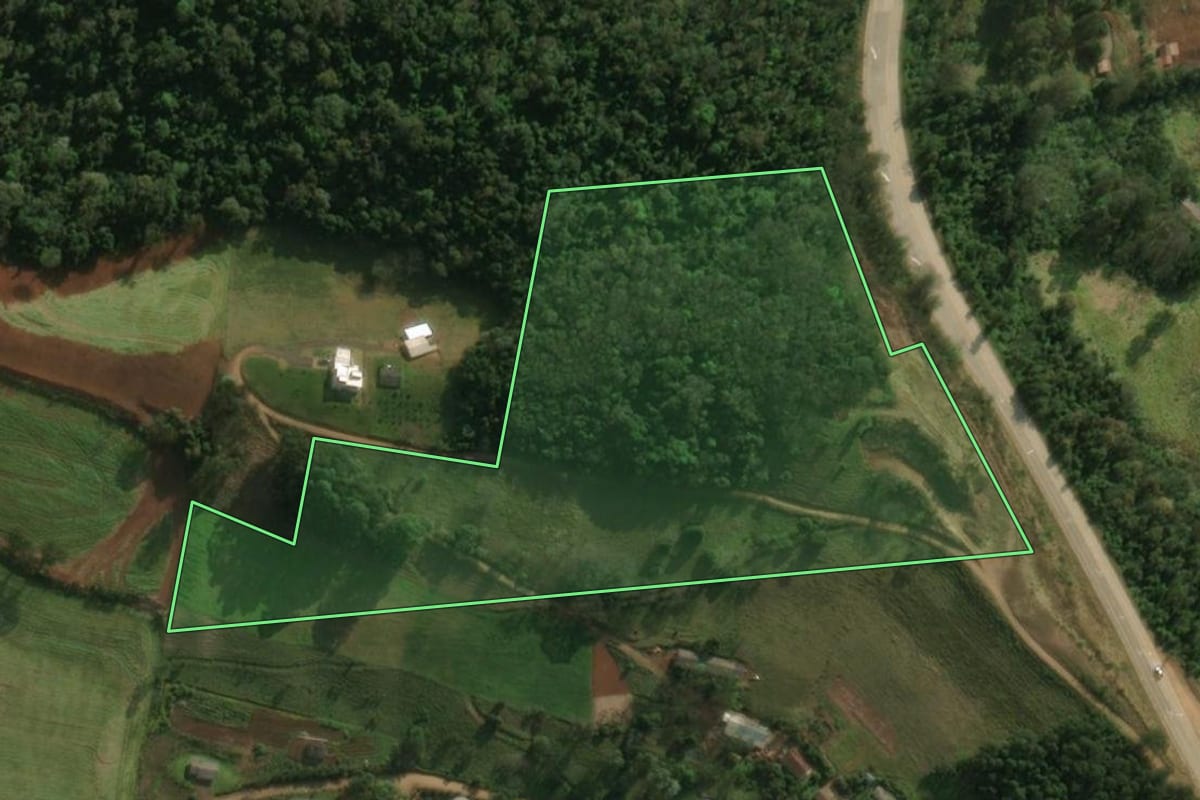 Imagem de satélite do imóvel rural em São José do Cedro (SC), com o contorno declarado no CAR desenhado por cima.
