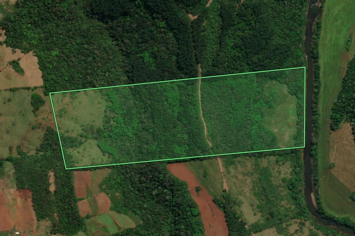 Imagem de satélite do imóvel rural em São José do Cedro (SC), com o contorno declarado no CAR desenhado por cima.