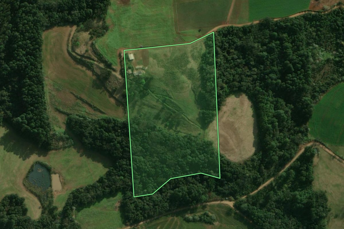 Imagem de satélite do imóvel rural em São José do Cedro (SC), com o contorno declarado no CAR desenhado por cima.